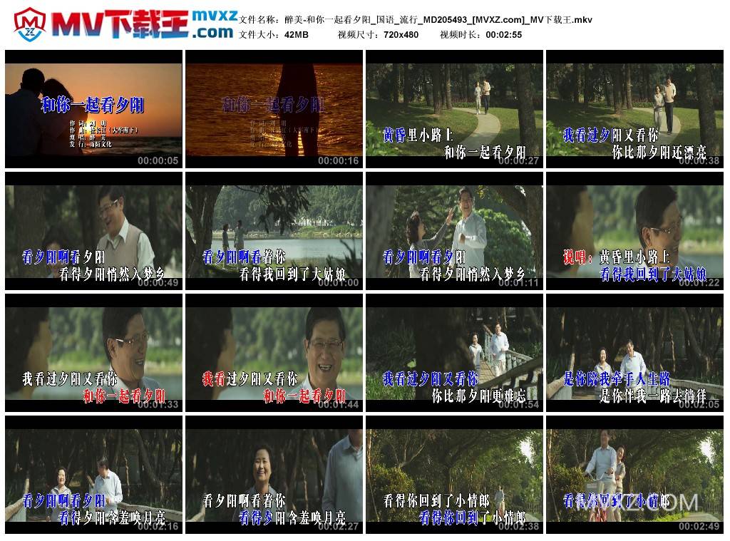 醉美-和你一起看夕阳_国语_流行_MD205493